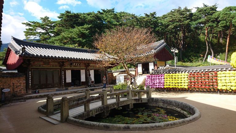 韩国通度寺14